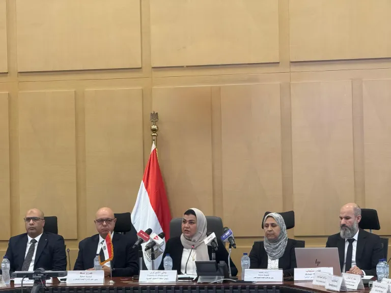 جلسة استماع حاسمة بوزارة الاستثمار لمناقشة الإجراءات الوقائية على واردات الصلب المدرفل على الساخن