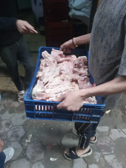ضبط مخازن سوداء.. 3 أطنان دواجن و195 كجم لحوم مجمدة في قبضة التموين بالقليوبية