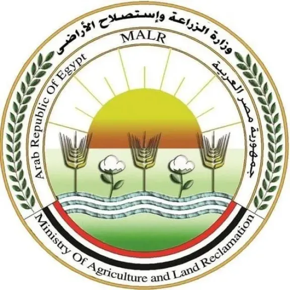 قبل بدء الموسم.. الزراعة تكشف عن الخريطة الصنفية للقمح لتوجيه زراعته بدقة