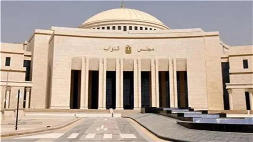 الهيئة الوطنية تحدد ضوابط الدعاية الانتخابية لانتخابات النواب 2025