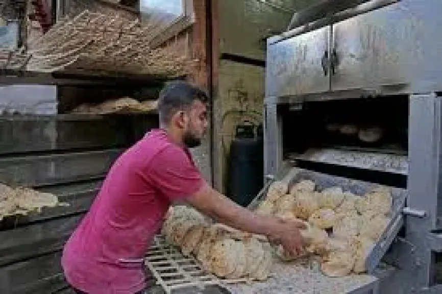 إنشاء مخبز تمويني ضمن جهود وزارة التموين... تعرف على الشروط و الضوابط