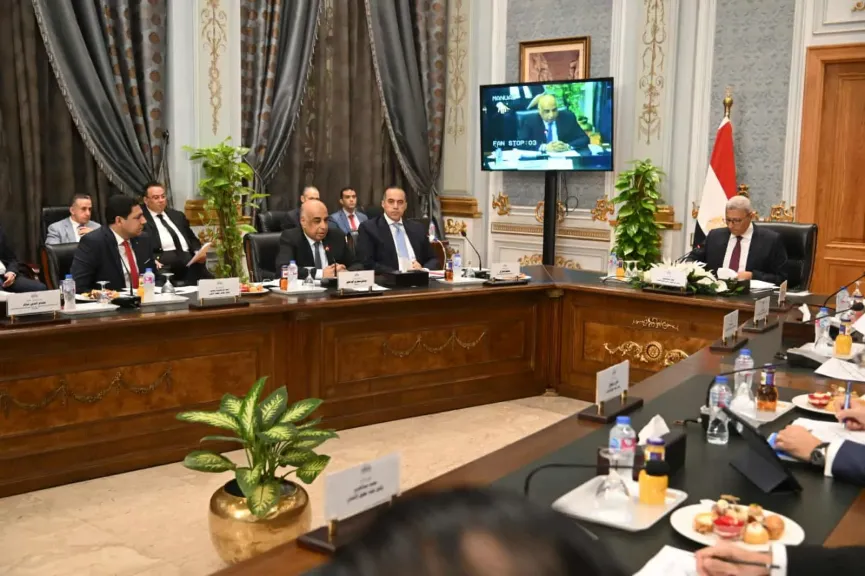 انسحاب 3 نواب من اجتماع اللجنة الخاصة بسبب المادة 105 من قانون الإجراءات الجنائية