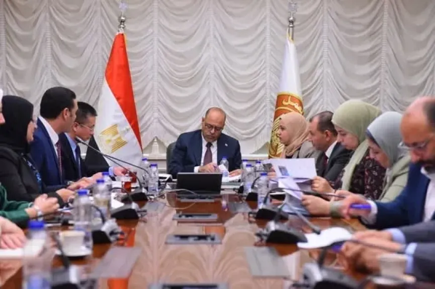 لتعزيز التعاون في التدريب المهني والتحول الرقمي وفرص التوظيف... وزير العمل يبحث مع وفد ”هواوي مصر”