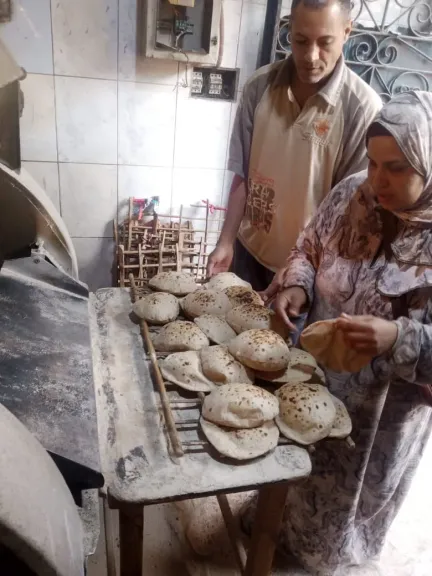 من طوخ لشبرا الخيمة.. تموين القليوبية تضبط مخالفات بالجملة في الأسواق والمخابز