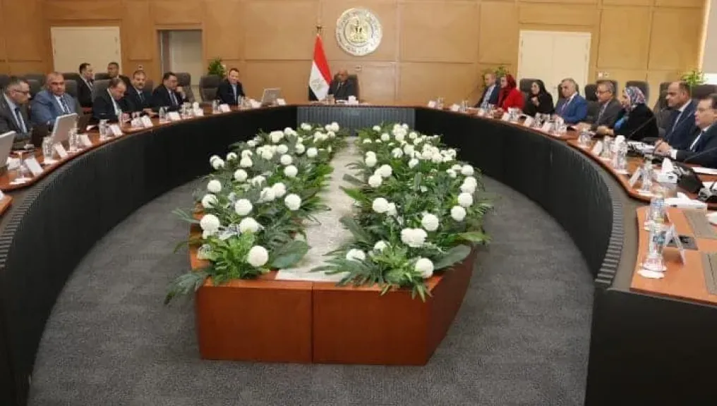 الدكتور محمود عصمت: المشروع يستهدف إعادة تنظيم وهيكلة قطاع الكهرباء على نحو يرسخ مبادئ الحوكمة والشفافية، ويدعم الفصل والاستقلالية بين أنشطة الإنتاج والنقل والتوزيع