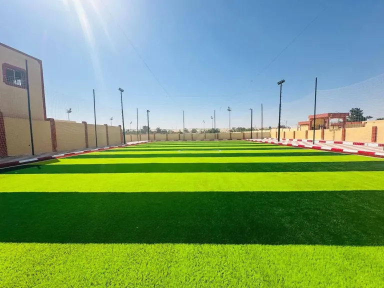 بتوجيهات وزير الرياضة.. الانتهاء من تطوير ملعب مركز شباب الخربة بشمال سيناء