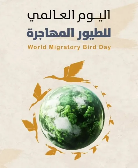 تزامنًا مع الاحتفال باليوم العالمي للطيور المهاجرة...البيئة تعلن إزالة 18 ألف متر من الشباك المخالفة لحماية الطيور المهاجرة