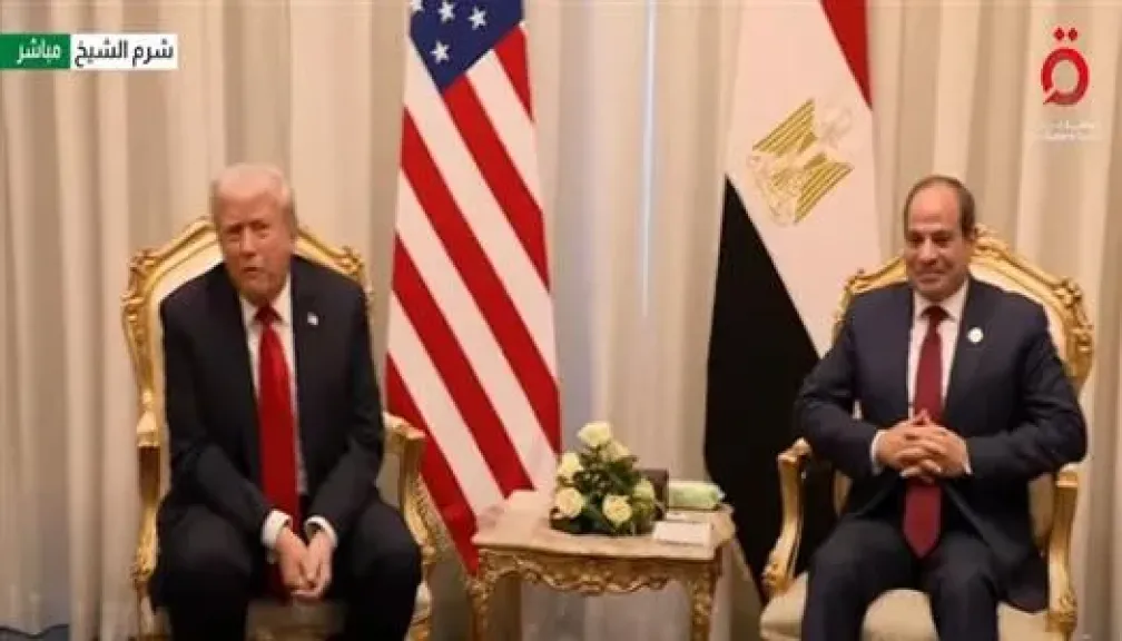 قمة شرم الشيخ ترسخ دور مصر كقلب نابض للعروبة وصوت الحق في وجه التحديات