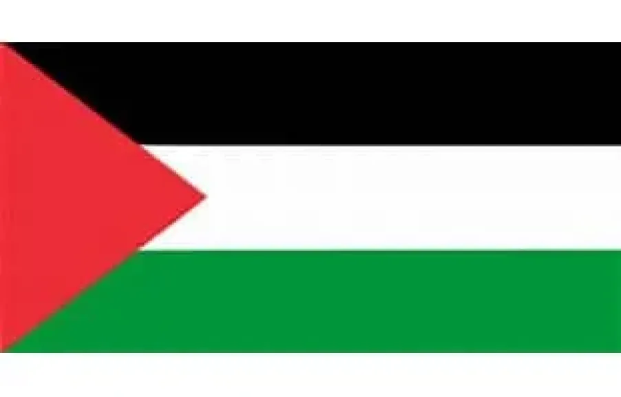 علم دولة فلسطين