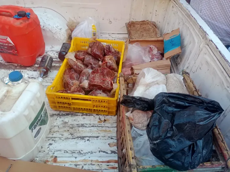 ضبط لحوم غير صالحة وتحرير 300 محضر تمويني خلال حملات مكثفة على المخابز والأسواق بأسيوط