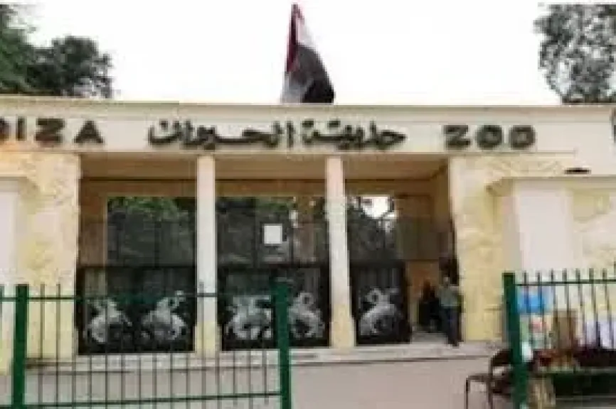 حديقة الحيوان بالجيزة.. فصل جديد من الحياة والطبيعة والتعليم