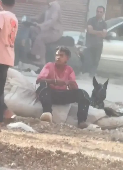 أدهم والكلب.. سقوط أصغر تاجر مخدرات في قبضة مباحث شبرا الخيمة