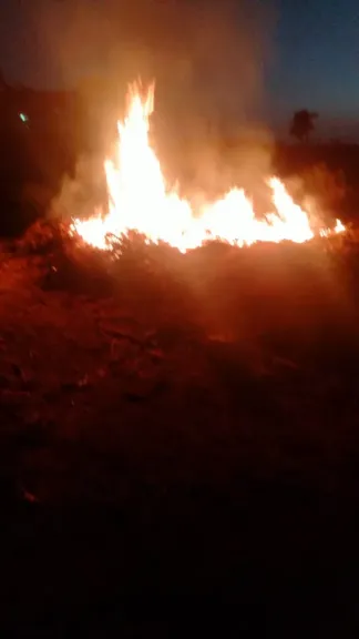 تحرير 8 محاضر حرق مكشوف بـ 3 مراكز بأسيوط