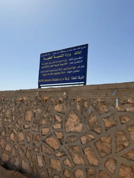 التنمية المحلية