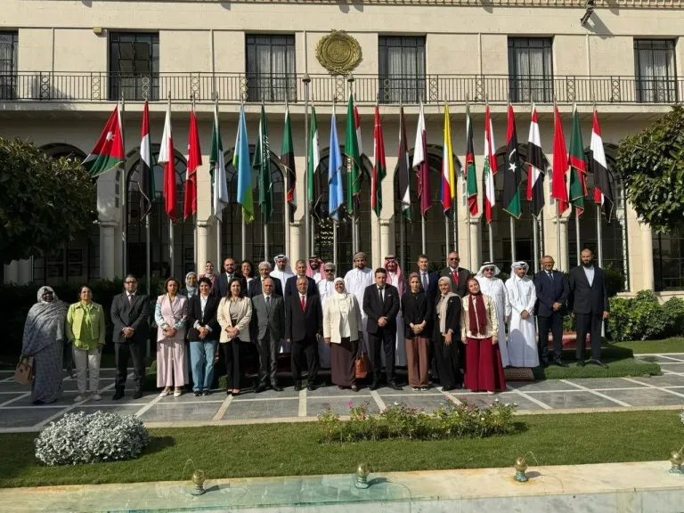 الاسكان
