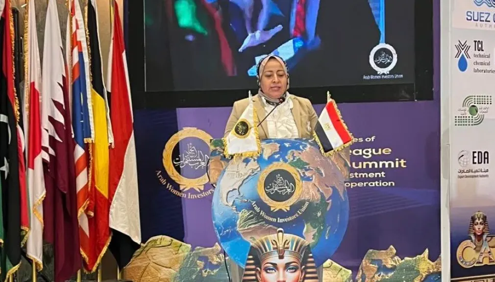 نسرين لاشين: حرص الدولة المصرية على تبنى منهجية متطورة وإستراتيجية واضحة لتحقيق التنمية الاقتصادية المستدامة وجلب مزيد من الاستثمارات