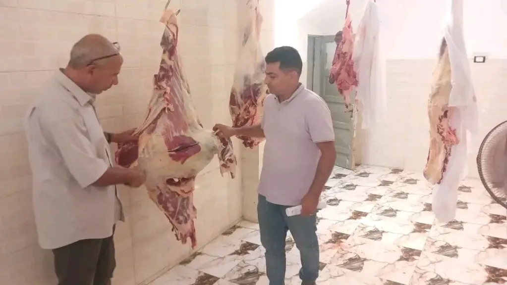 ضبط ربع طن لحوم مذبوحة خارج المجازر الحكومية في قويسنا