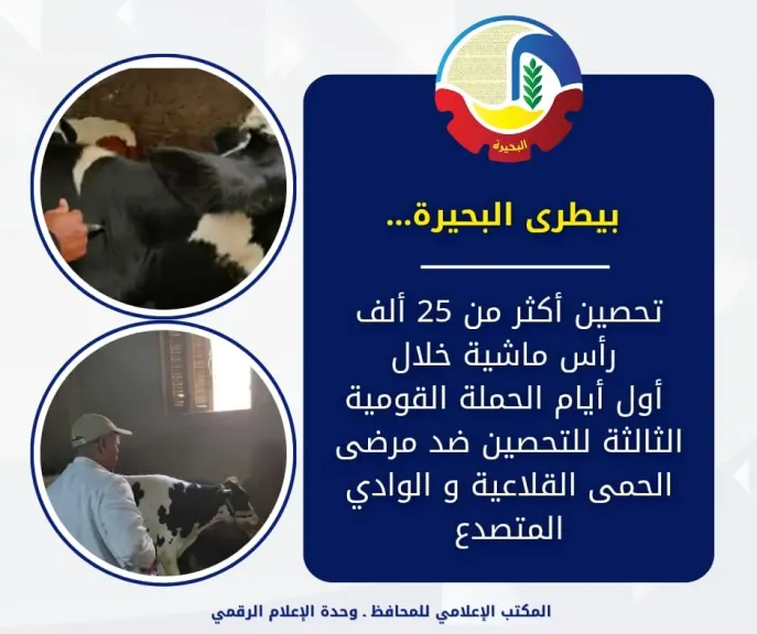 ”بيطرى البحيرة”: تحصين 25 ألف رأس ماشية ضد مرضى الحمى القلاعية والوادي... ”بيطرى البحيرة”: تحصين 25 ألف رأس ماشية ضد مرضى الحمى القلاعية والوادي المتصدع