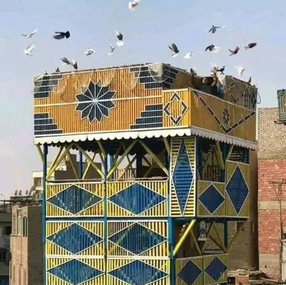سرق حمام الغية.. سقوط لص المحلة بعد الاستيلاء على 20 جوزًا وأدوات... سرق حمام الغية.. سقوط لص المحلة بعد الاستيلاء على 20 جوزًا وأدوات كهربائية