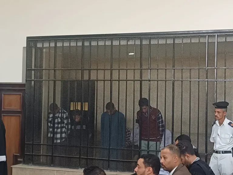 ذبحوا طفل وقطعوا كفيه لفتح مقبرة أثرية ... استئنافية أسيوط تحيل أوراق 3 أشخاص للمفتي