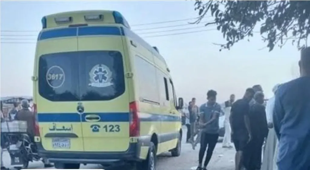 النيران أكلتها بكاملها.. العثور على جثة محروقة لشخص مجهول الهوية ملقاة داخل... النيران أكلتها بكاملها.. العثور على جثة محروقة لشخص مجهول الهوية ملقاة داخل الزراعات في قنا