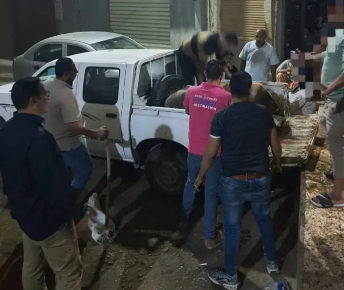 ضبط جزار يذبح عجلاً نافقًا داخل سلخانة مخالفة بشبين الكوم ضبط جزار يذبح عجلاً نافقًا داخل سلخانة مخالفة بشبين الكوم