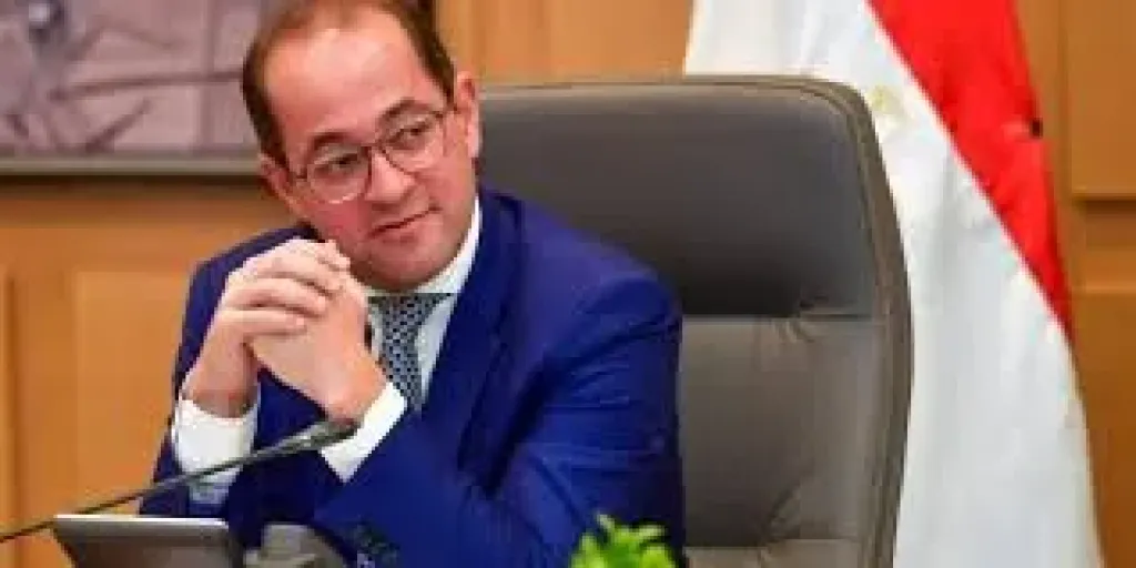 وزير المالية: رئاسة مصر لمنظمة الأنتوساى تعكس الثقة الدولية فى مؤسساتها وزير المالية: رئاسة مصر لمنظمة الأنتوساى تعكس الثقة الدولية فى مؤسساتها