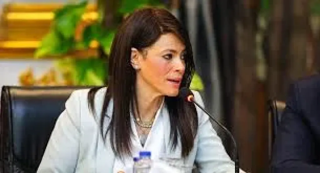 وزيرة التخطيط: حوكمة الاستثمارات العامة ساهمت في زيادة مُشاركة القطاع الخاص وزيرة التخطيط: حوكمة الاستثمارات العامة ساهمت في زيادة مُشاركة القطاع الخاص