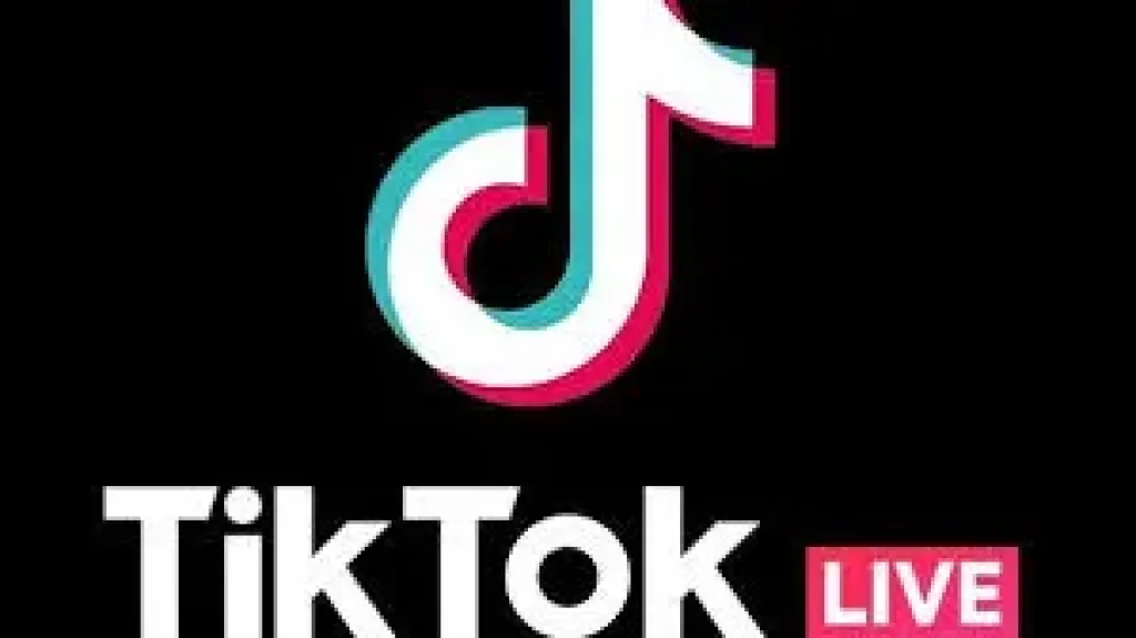 ”تيك توك” تنقل حفل افتتاح المتحف المصري الكبير مباشرة للعالم ”تيك توك” تنقل حفل افتتاح المتحف المصري الكبير مباشرة للعالم