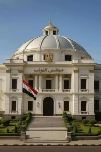 336 ألف ناخباً يستعدون للإدلاء بأصواتهم في انتخابات مجلس النواب بالبحر الأحمر