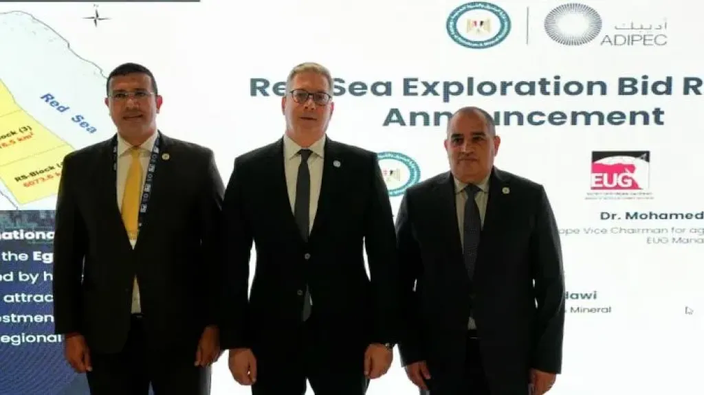 وزير البترول والثروة المعدنية 