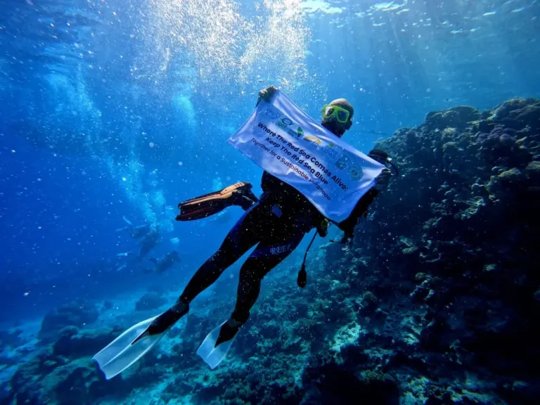 البيئة نطلق أول حملة توعوية بجزيرة الجفتون لدمج ذوي الهمم في العمل البيئي