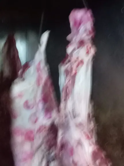 ”الطب البيطري” يضبط 120 كيلو لحوم غير صالحة للاستهلاك بالأسواق