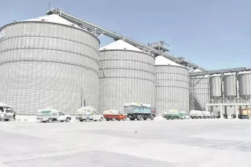 مطاحن وسط وغرب الدلتا تستثمر 450 مليون جنيه لتعزيز الطاقة الإنتاجية