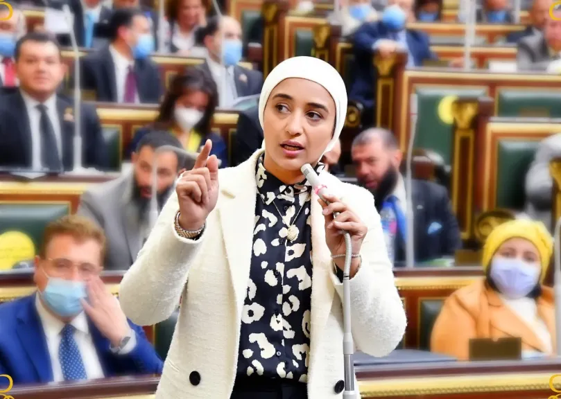النائبة أميرة أبوشقة تحذر من الحملات الإلكترونية المتبادَلَة بين الشعوب