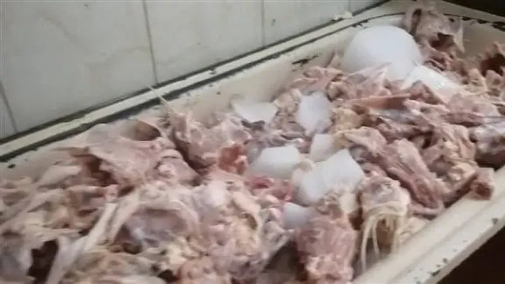 تموين القليوبية يضرب بقوة.. 1300 كيلو لحوم ودواجن فاسدة في قبضة الرقابة