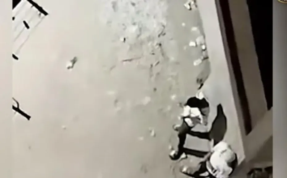 نهاية بث مباشر للمخدرات.. الأمن يطيح بـ3 عاطلين في القليوبية