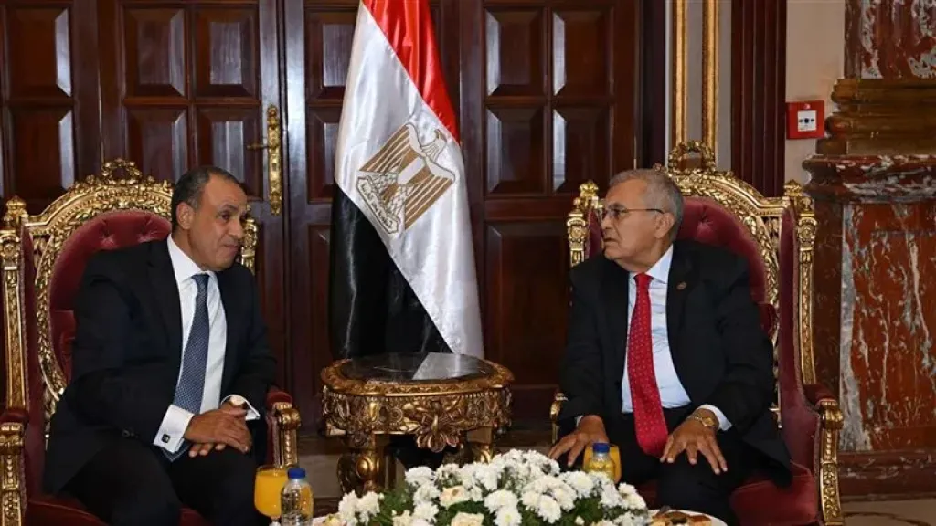 رئيس الشيوخ يلتقي وزير الخارجية بدر عبدالعاطي في أول لقاء رسمي