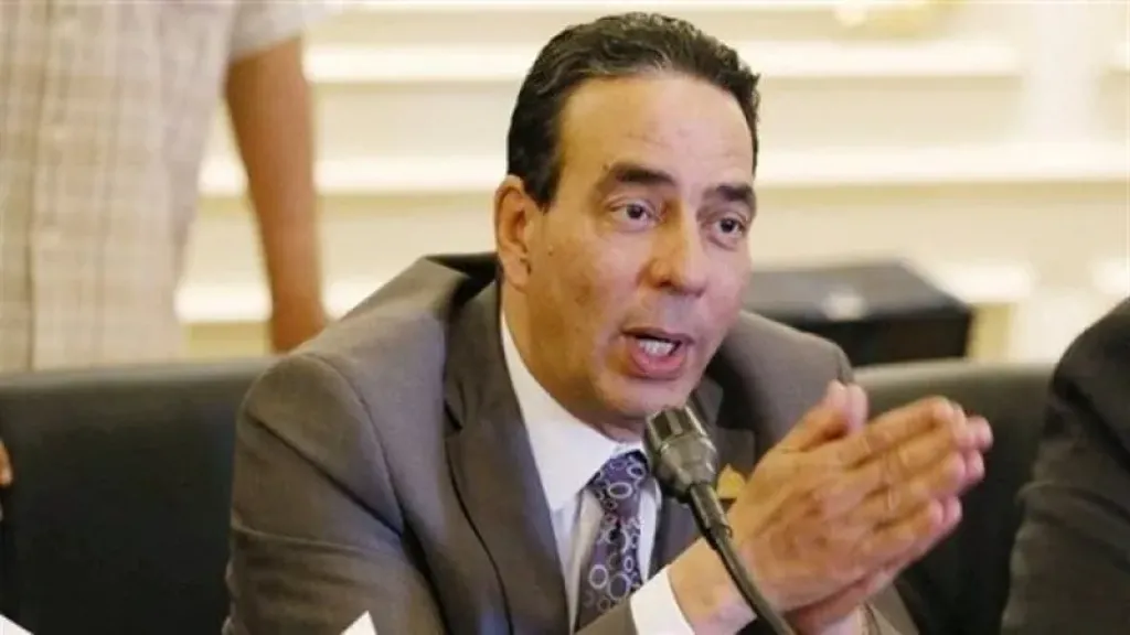 قانون الإجراءات الجنائية الجديد: الضمانات المضافة لحماية حقوق الإنسان خطوة مهمة نحو عدالة أسرع