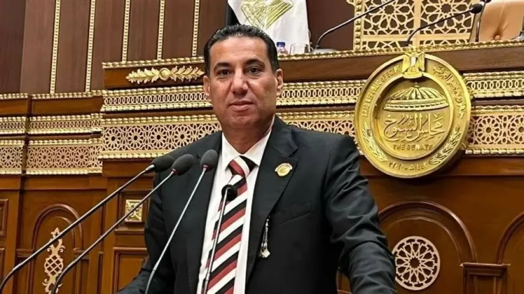 برلماني: مشروع قانون الإجراءات الجنائية الجديد يمثل تحولًا جوهريًا في منظومة العدالة المصرية