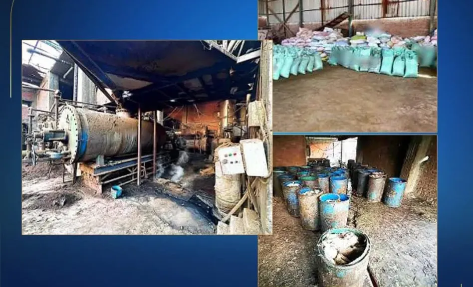 سقوط مصنع الأعلاف القاتلة في الخانكة.. وضبط 100 طن خامات مجهولة تدمر الثروة الحيوانية