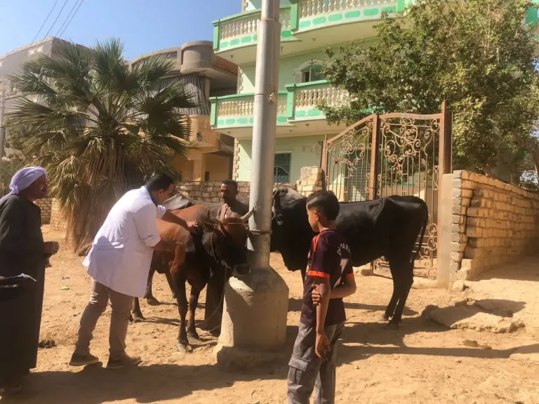 محافظ الفيوم يتابع جهود مديرية الطب البيطري خلال أنشطة شهر أكتوبر الماضي