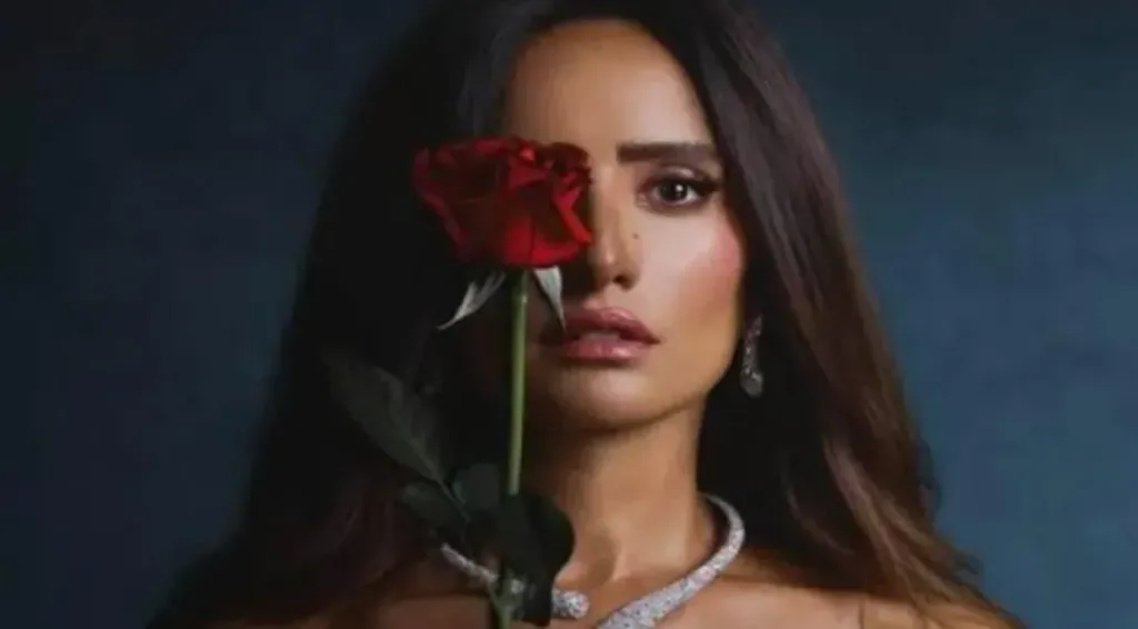 زينة تكشف زواجها من محمد فراج..الحلقة السادسة من ”ورد وشوكولاتة”