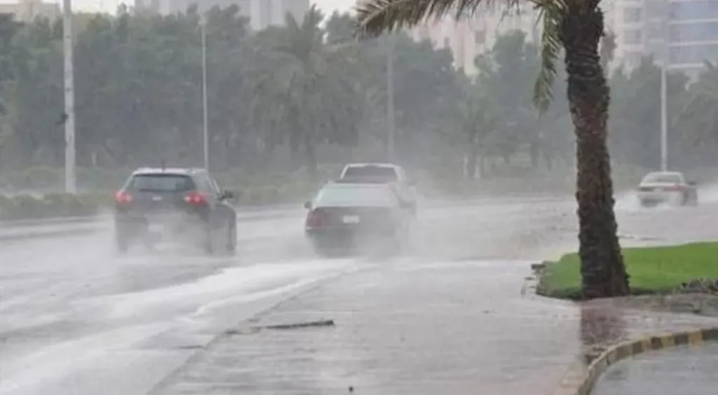 5 نصائح من الأرصاد للتعامل مع العواصف الرعدية