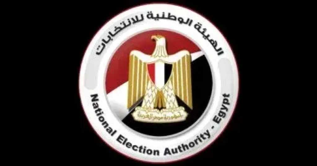 الهيئة الوطنية تعلن إلغاء نتيجة الانتخابات فى 19 دائرة بمجلس النواب