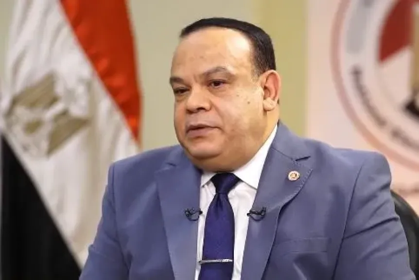 الهيئة الوطنية للانتخابات: إلغاء نتائج التصويت في دائرة إمبابة