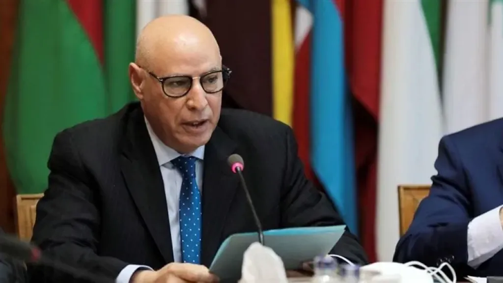 الجامعة العربية: جهود ”الأعلى للإعلام” ترتقي بمستوى العمل الإعلامي في مصر