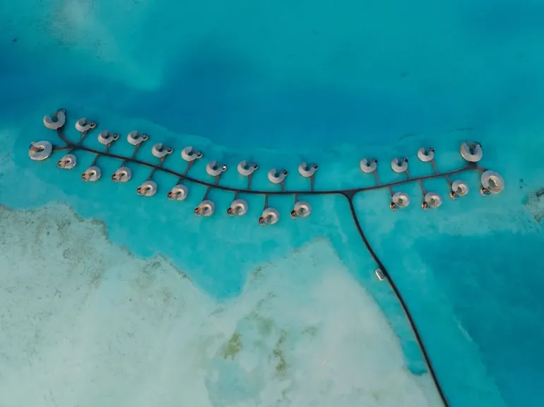 الذكاء الاصطناعي يخطف الأضواء في عالم الحجوزات السياحية في مصر