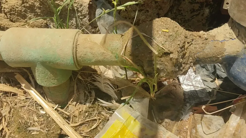 ضبط وإزالة 1752 وصلة مياه غير قانونية واتخاذ إجراءات صارمة ضد المخالفين