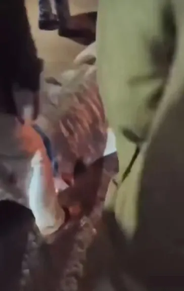 مأساة في ثانية واحدة… مسن يفقد حياته أمام ملعب زوسر والسائق يتخلى عن إنسانيته